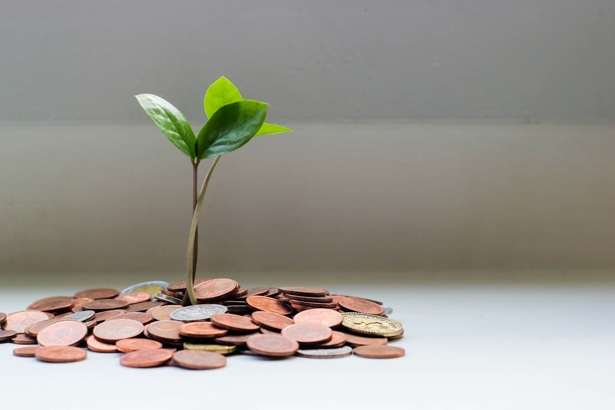 Why a Poor Website Is Costing You More Than You Think (First Impressions in 0.05 Seconds)